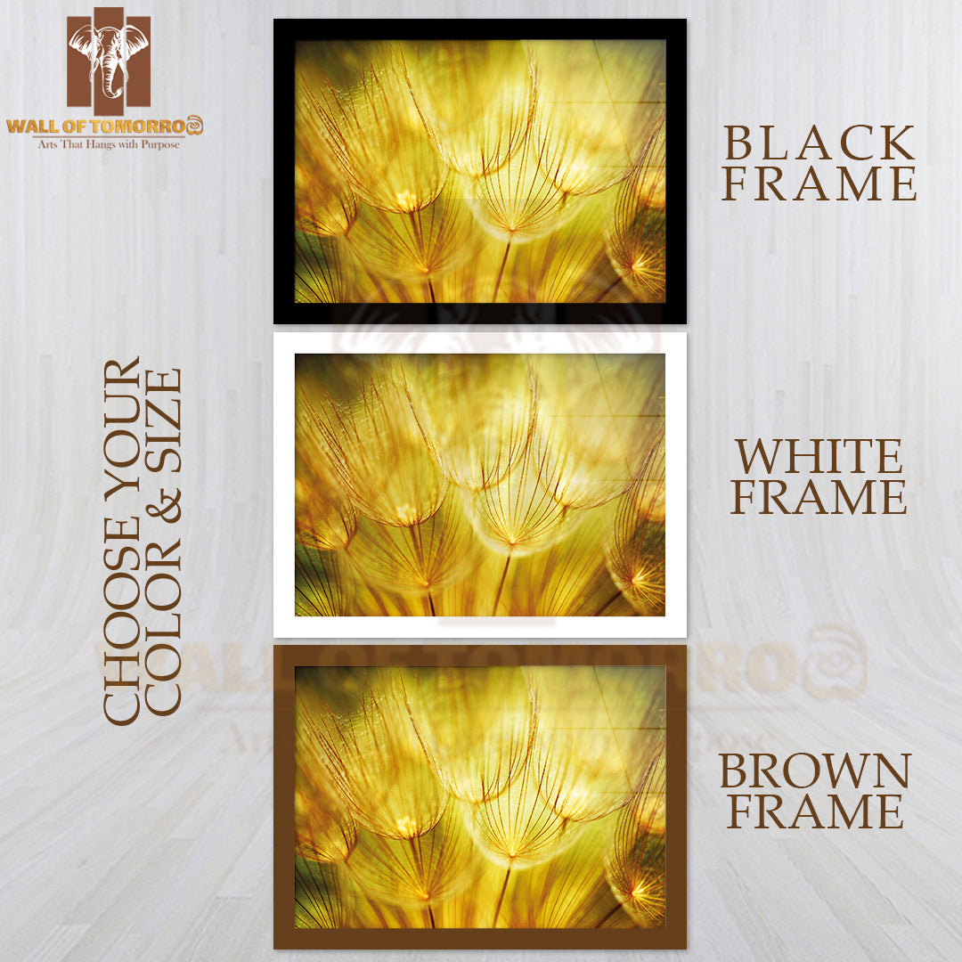 Soft Dandelions Flower, Extreme Closeup, Abstract Spring Nature High Quality Unframed Poster Print & Waterproof Poster Print Wall Décor