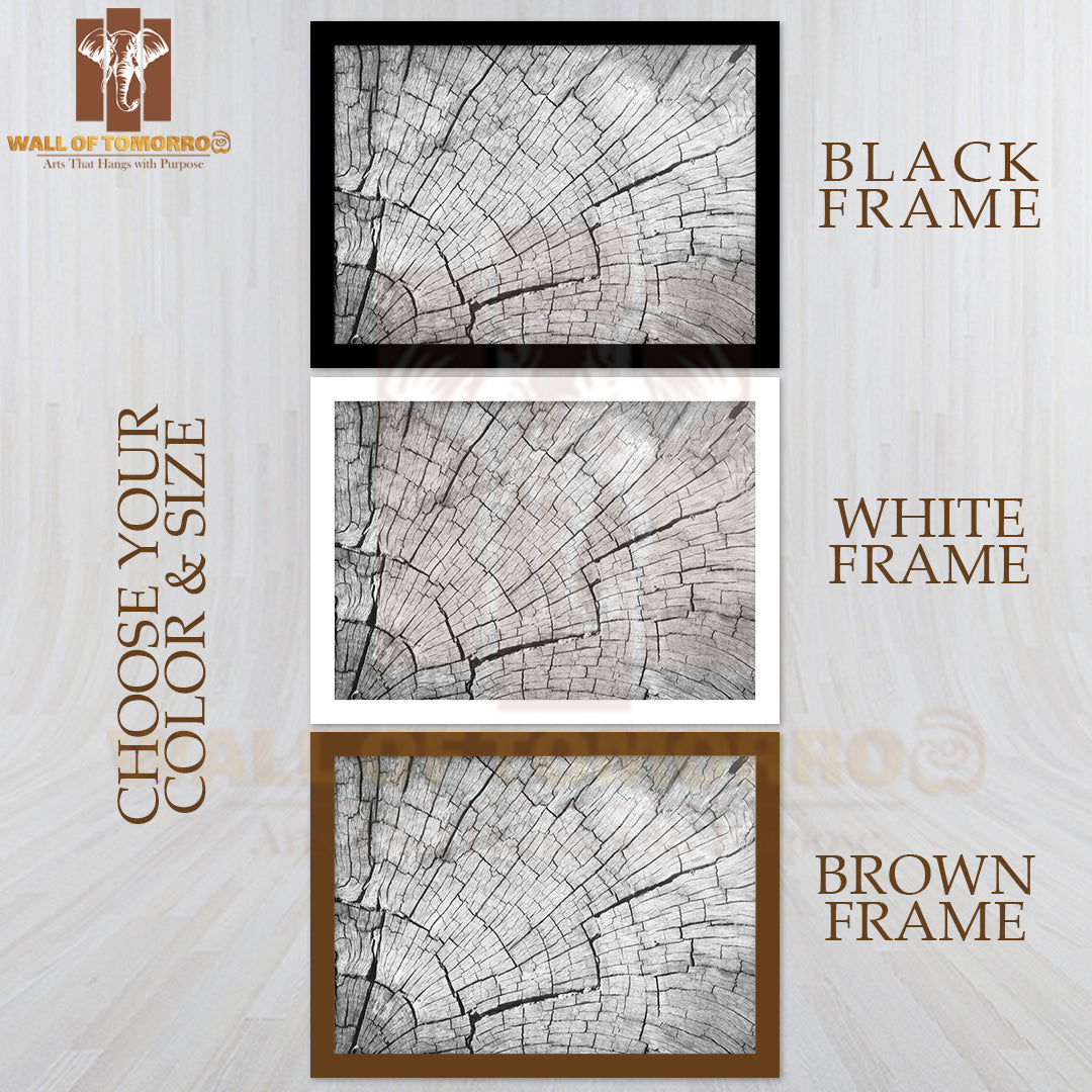 Old Gray Cracked Wood Texture Background High Quality Unframed Poster Print & Waterproof Poster Print Wall Décor