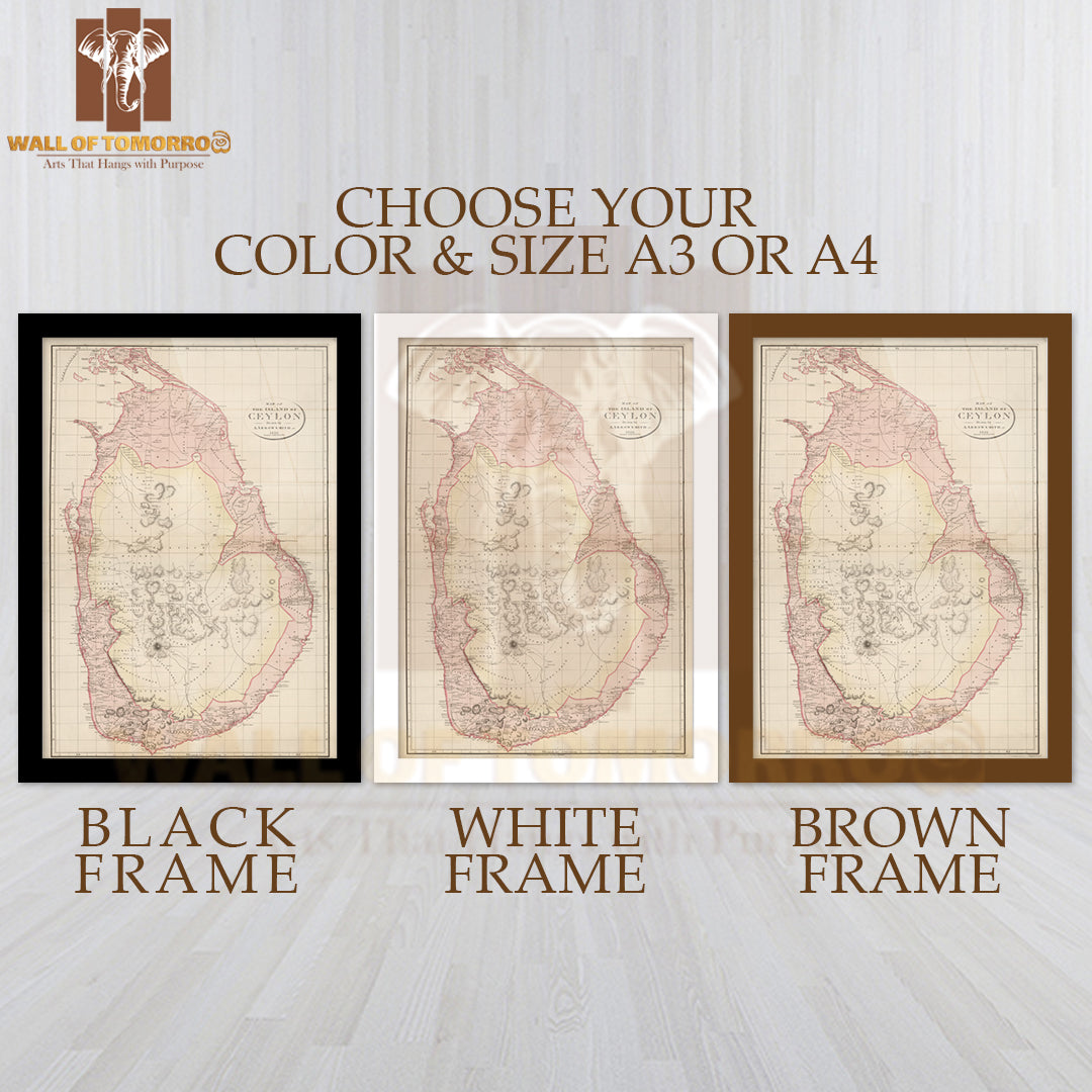 Map of The Island of Ceylon 1805 High Quality Glass Frame Wall Décors in Sri Lanka