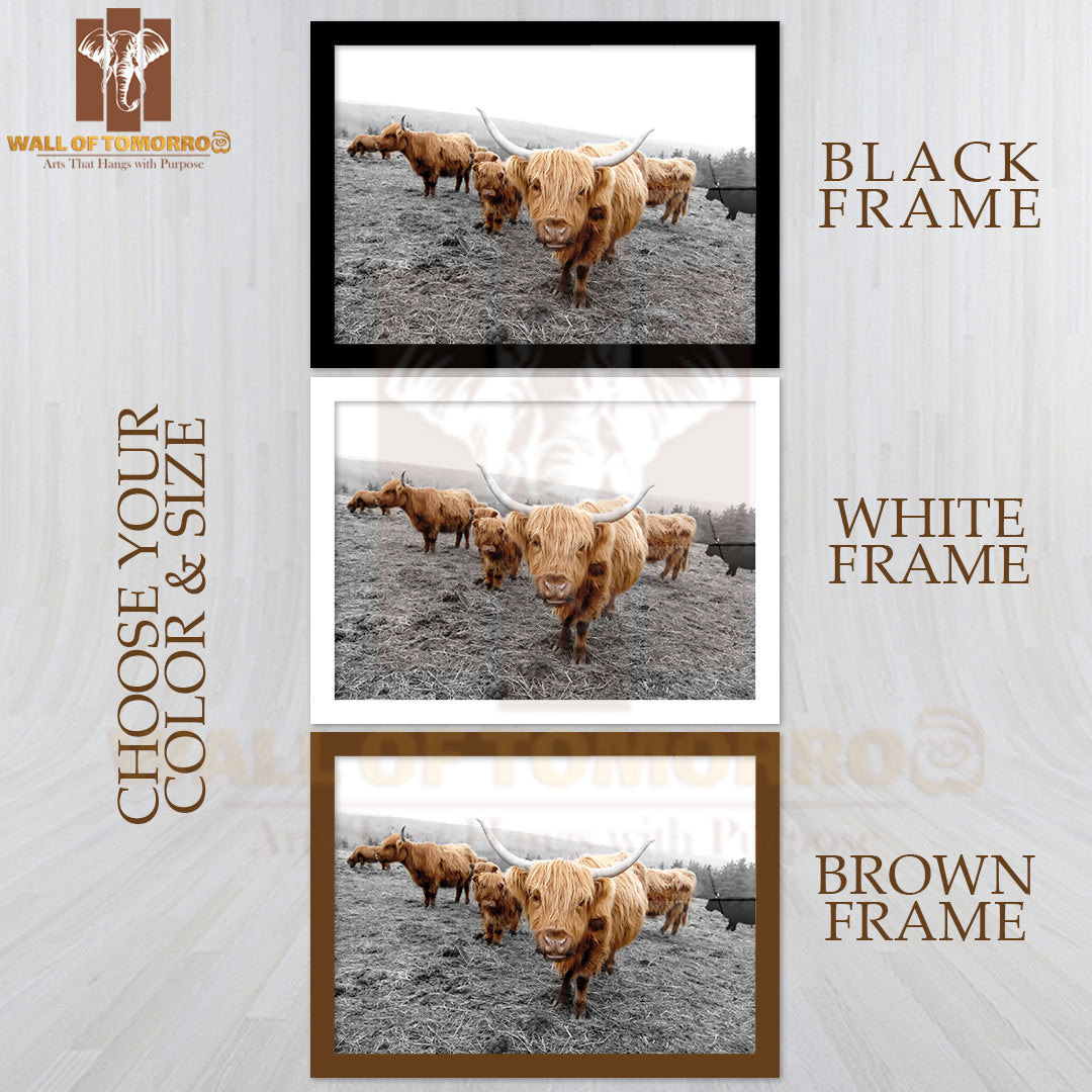 Scottish Highlander Cows High Quality Glass Frame Wall Décor