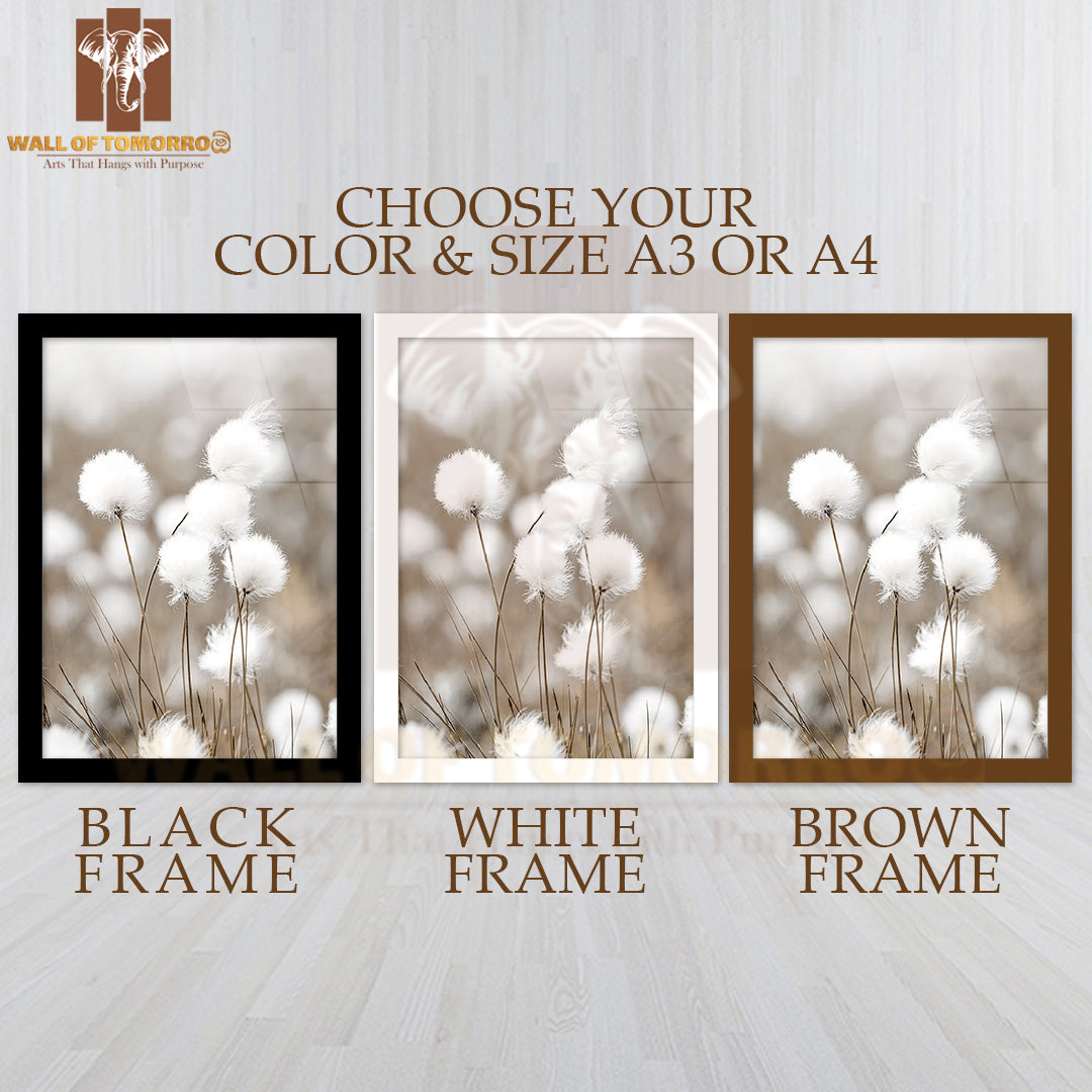 Cottongrass Faded High Quality Glass Frame Wall Décor