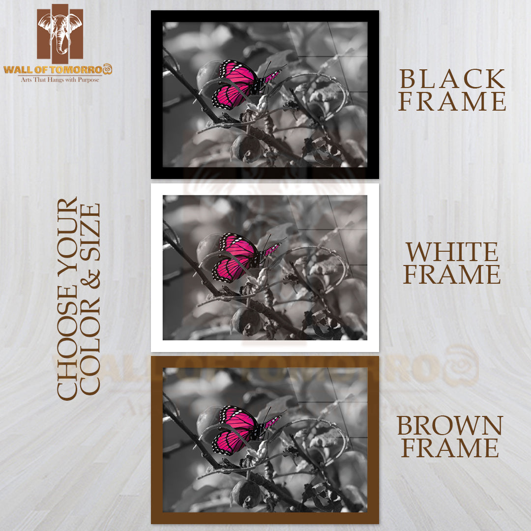 Pink Colorized Butterfly on Black & White High Quality Glass Frame Wall Décor