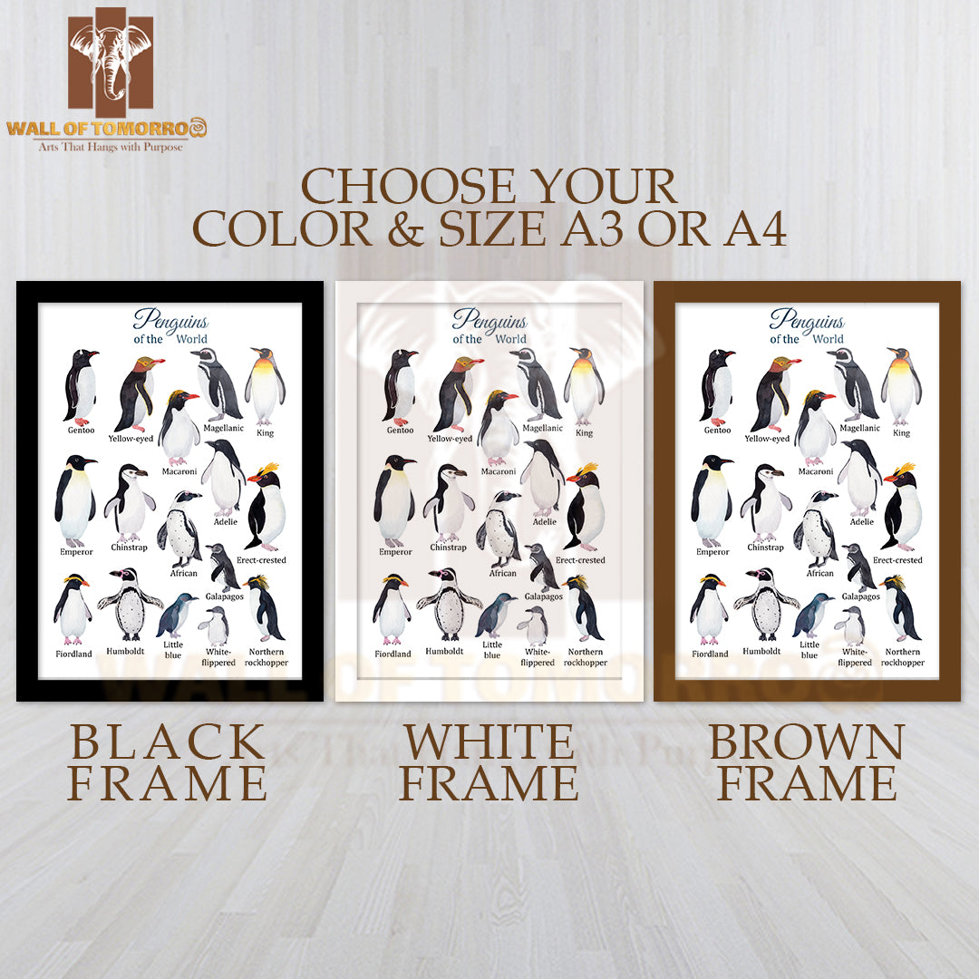 Penguins Species Watercolor Educational High Quality Glass Frame Wall Décor
