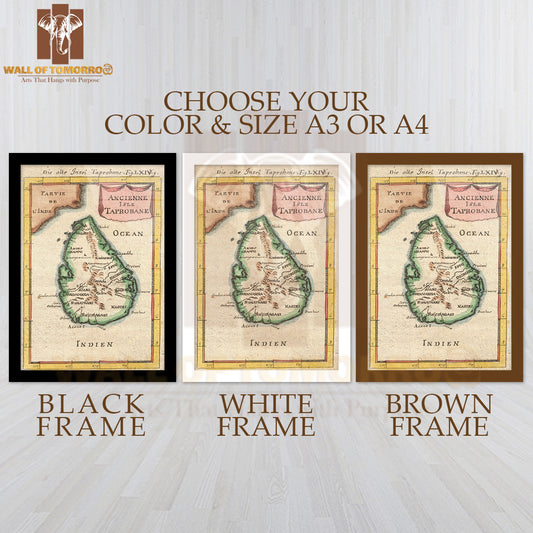 1686 Mallet Map of Ceylon or Sri Lanka (Taprobane) High Quality Glass Frame Wall Décors in Sri Lanka