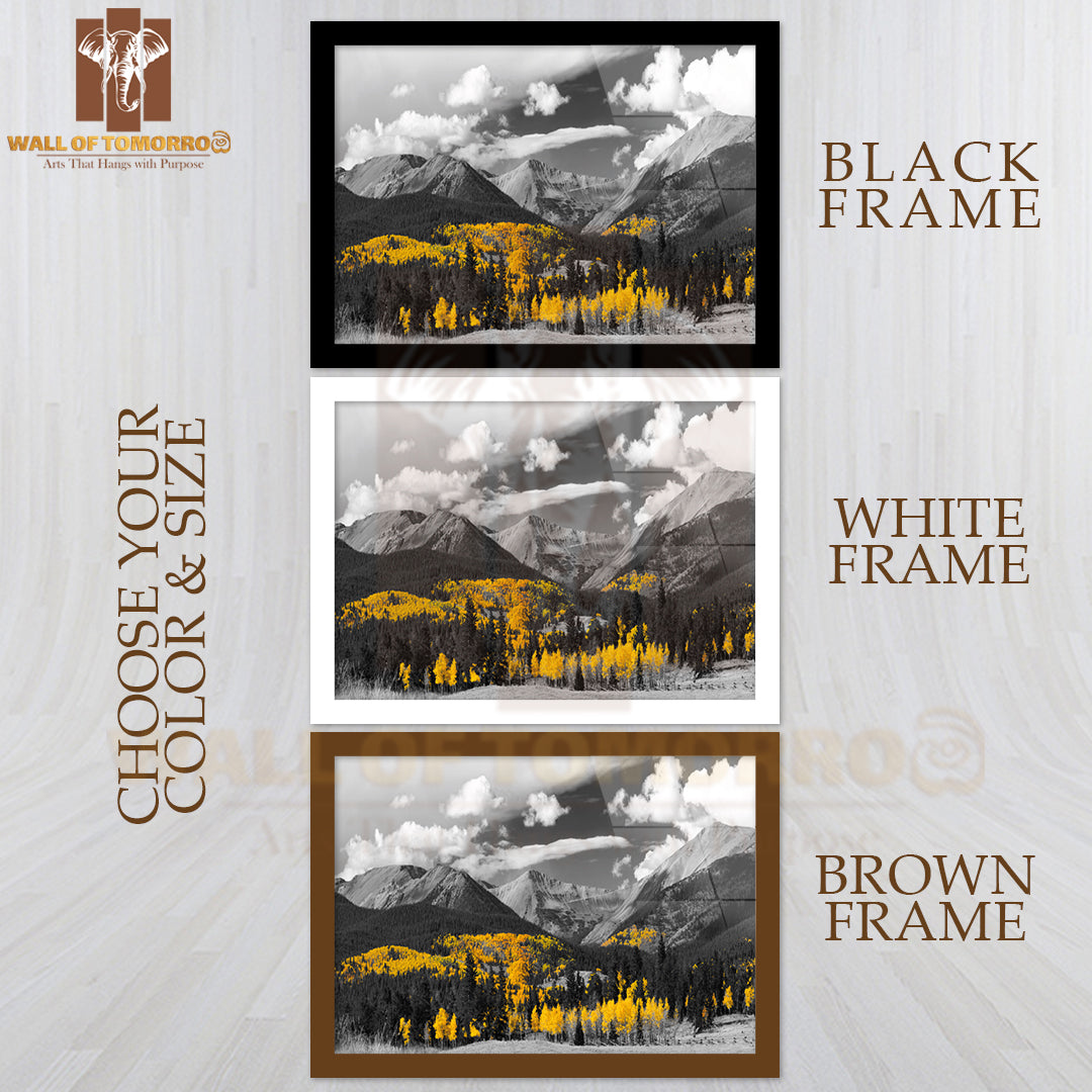 Golden Tree Leaves of a Fall Aspen Forest High Quality Unframed Poster Print & Waterproof Poster Print Wall Décor