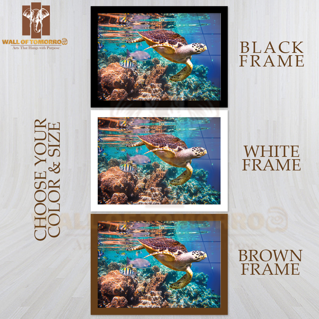 Sea Turtle Swimming Coral Reefs High Quality Unframed Poster Print & Waterproof Poster Print Wall Décor