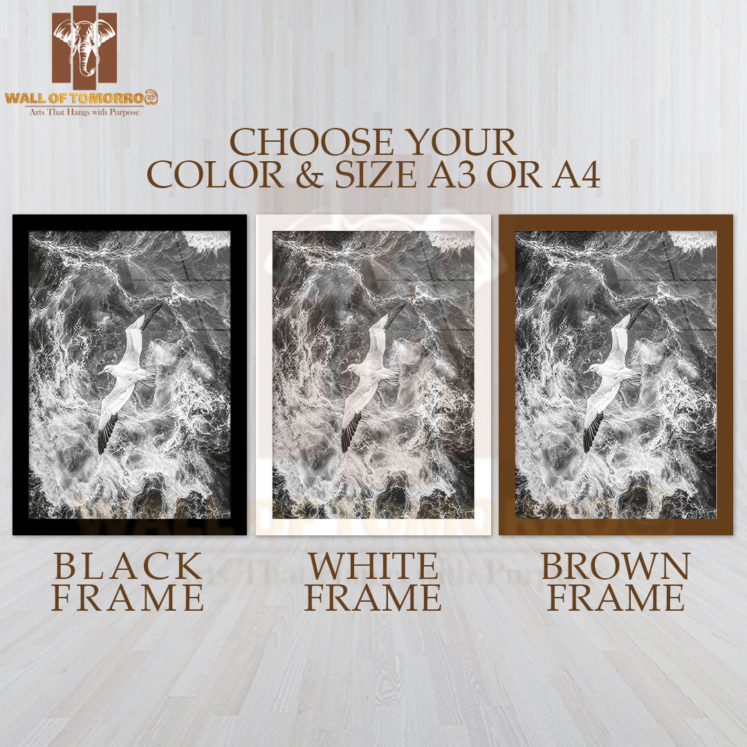 Seagull Grace High Quality Glass Frame Wall Décor