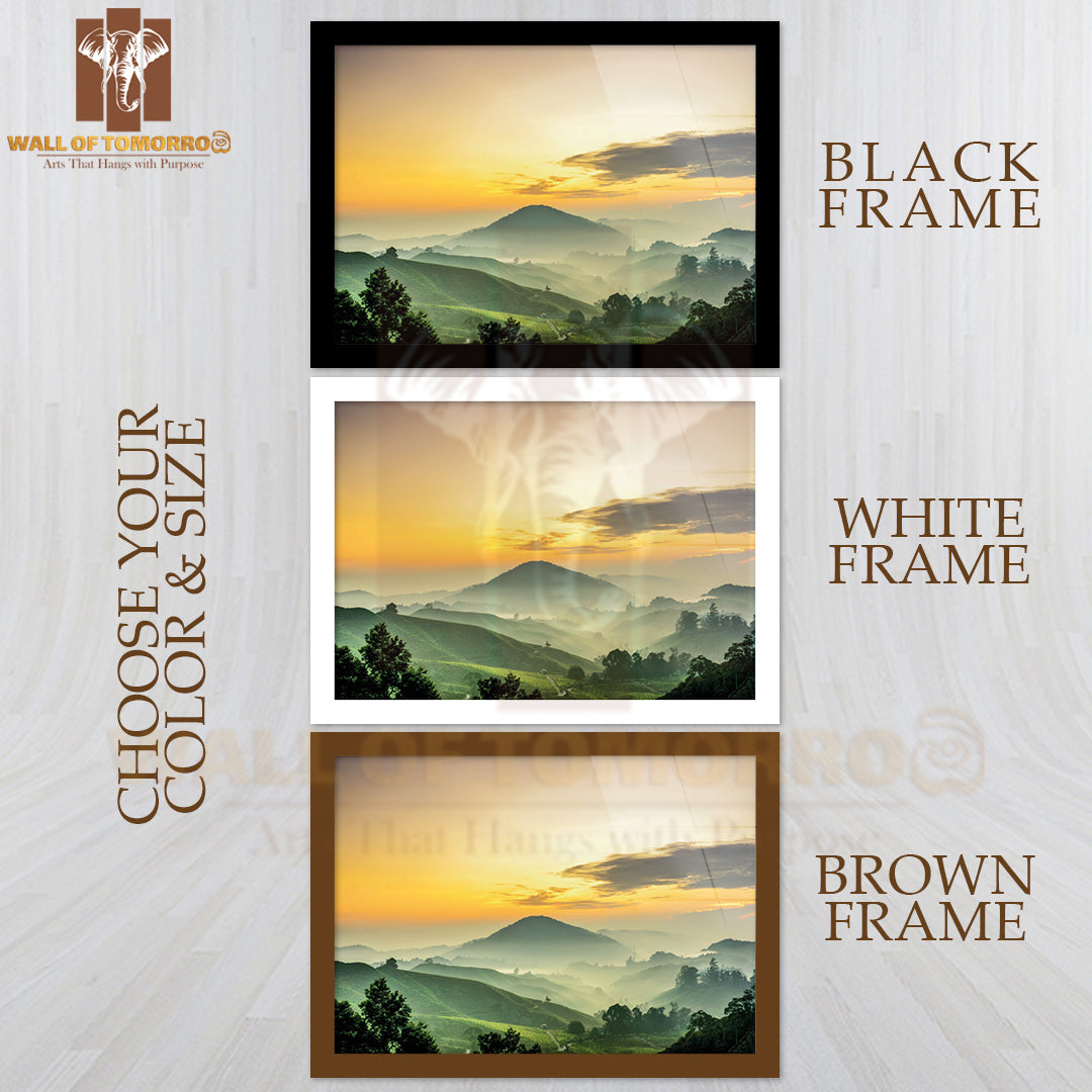 Sunrise At Green Tea Farm Mountain High Quality Unframed Poster Print & Waterproof Poster Print Wall Décor