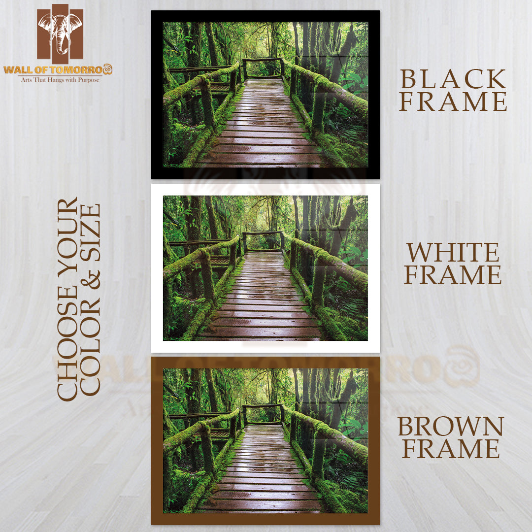 Wet Wooden Trail Bridge Walking Way at Hill Mountain Evergreen Forest High Quality Unframed Poster Print & Waterproof Poster Print Wall Décor