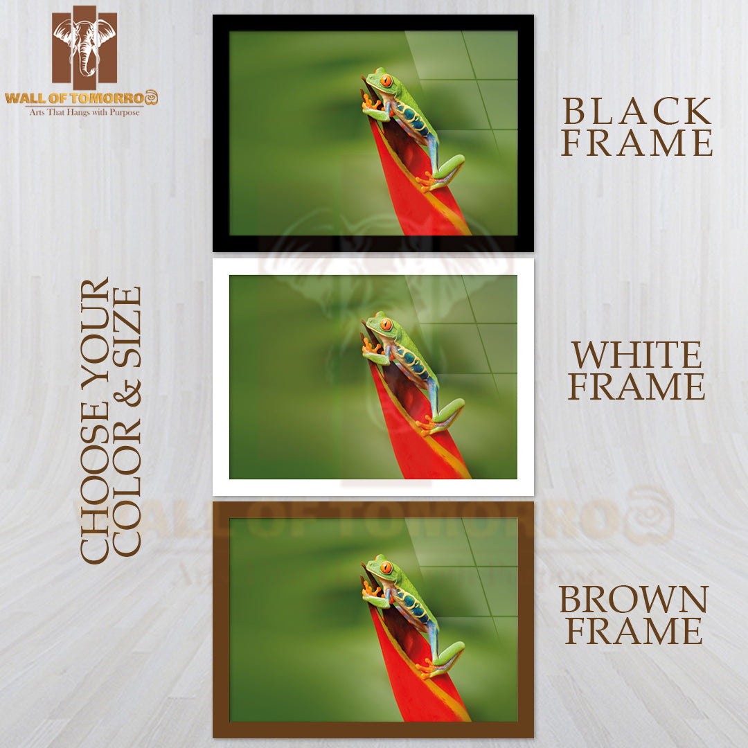Beautiful Frog in Forest, Exotic Animal from Central America High Quality Unframed Poster Print & Waterproof Poster Print Wall Décor