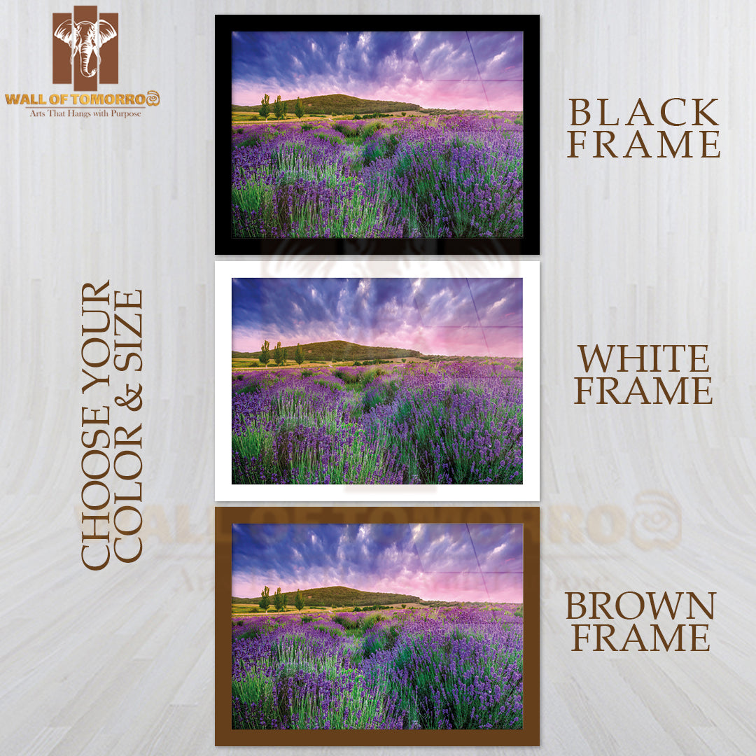 Sunset Over a Summer Lavender Field in Tihany, Hungary High Quality Unframed Poster Print & Waterproof Poster Print Wall Décor