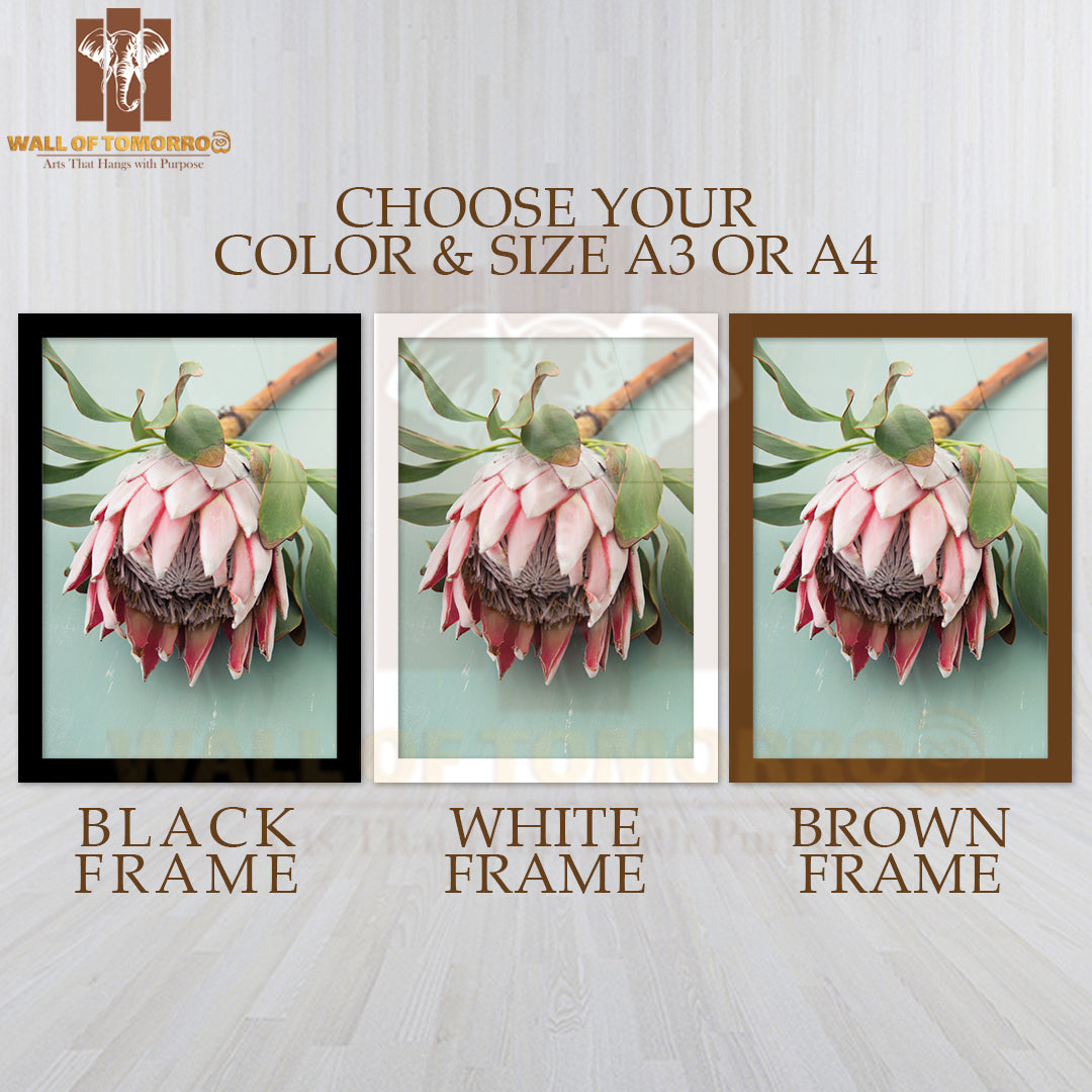 King Protea Red Flower High Quality Glass Frame Wall Décor