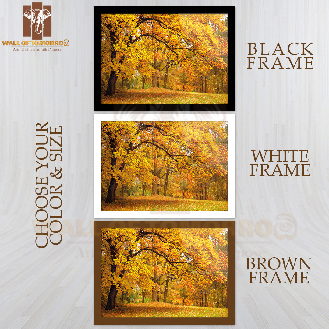 A Park Bench in The Middle of a Field of Leaves High Quality Glass Frame Wall Décor