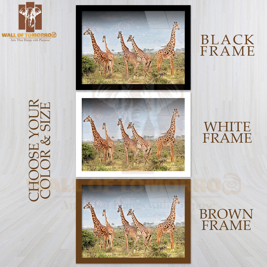 Masai Giraffe in Kenya, Africa High Quality Unframed Poster Print & Waterproof Poster Print Wall Décor