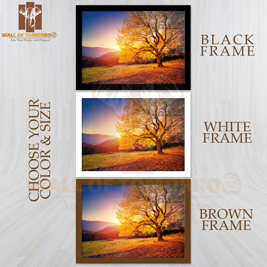 Majestic Alone Beech Tree on a Hill Slope with Sunny Beams at Mountain Valley High Quality Unframed Poster Print & Waterproof Poster Print Wall Décor