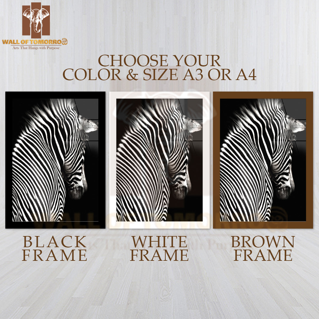 The Zebra is Facing Slightly Away From The Camera High Quality Glass Frame Wall Décor