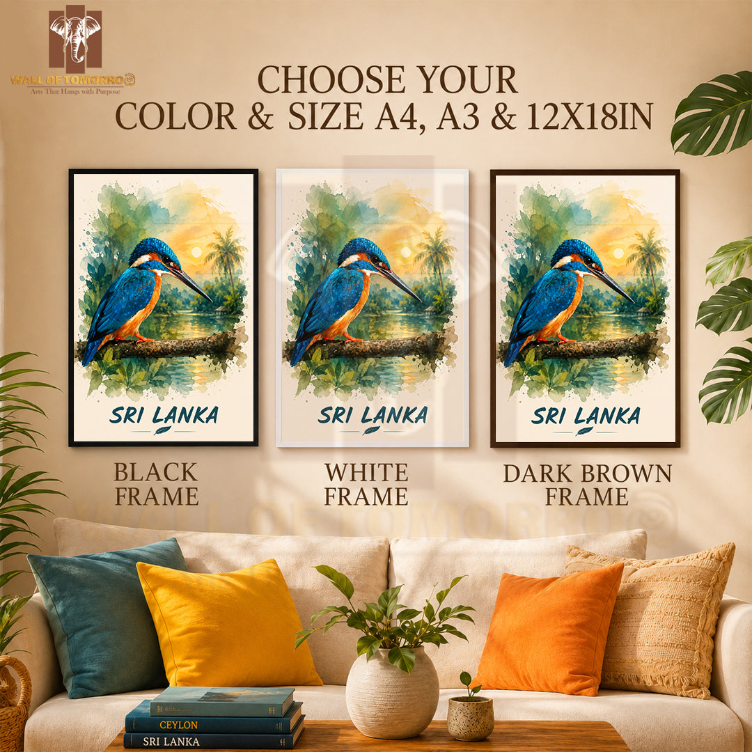 Kingfisher (Pilihuduwa) Sri Lanka Travel Animals High Quality Glass Frame Wall Décor
