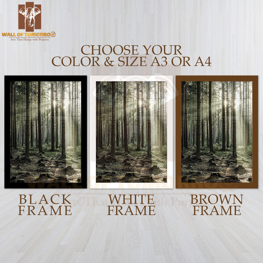 Sunbeam Forest High Quality Glass Frame Wall Décor