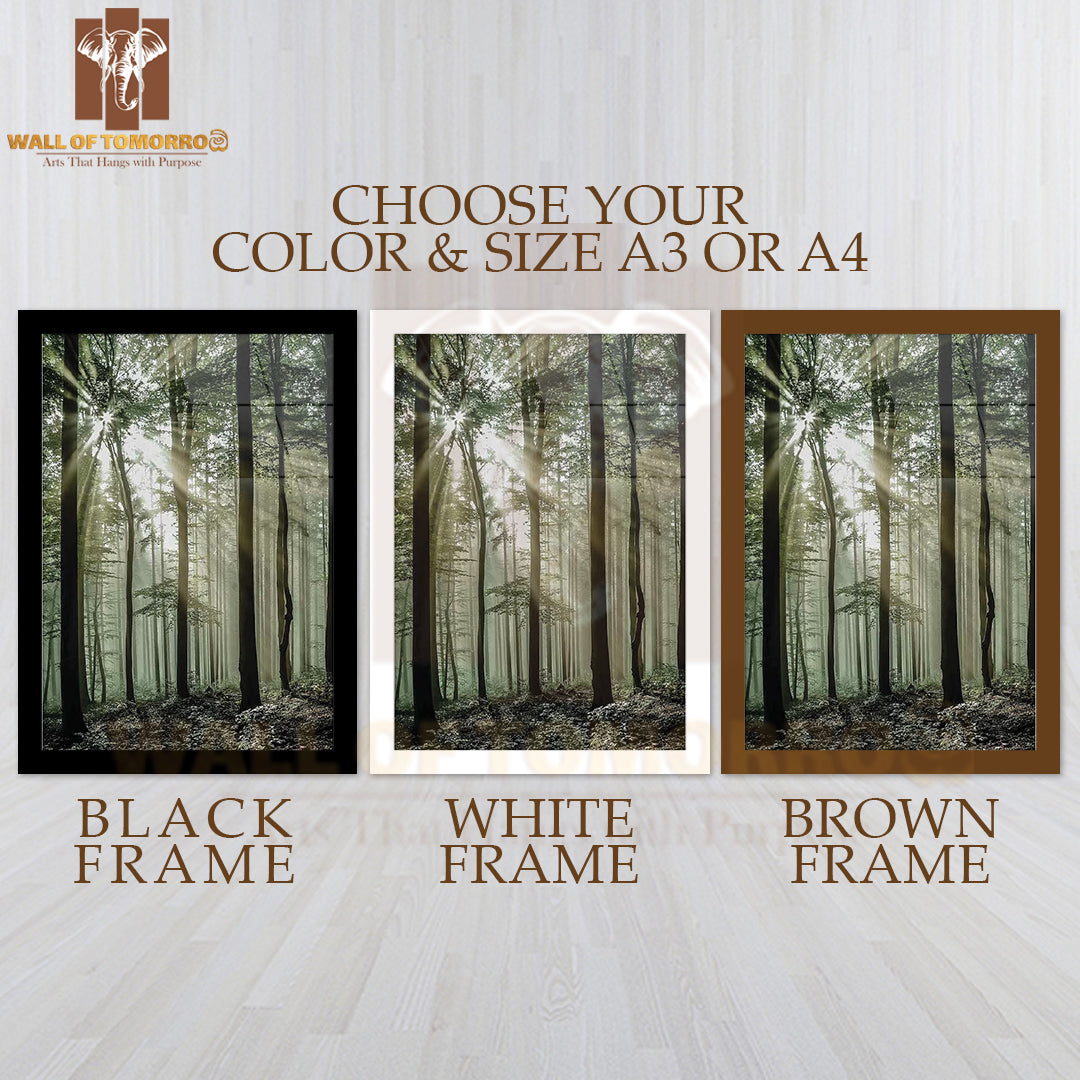 Light Through Forest Trees High Quality Glass Frame Wall Décor