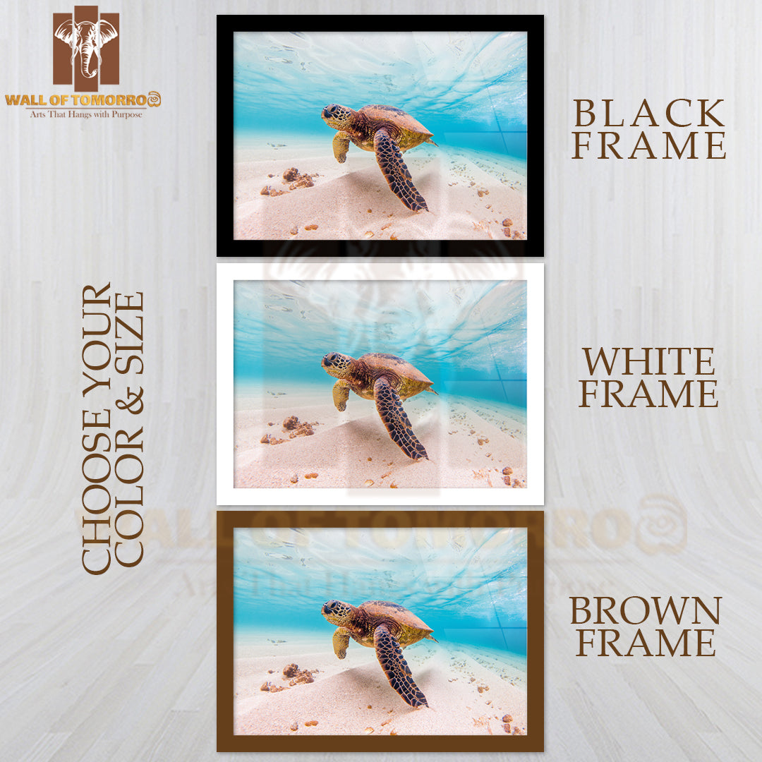 Hawaiian Green Sea Turtle High Quality Unframed Poster Print & Waterproof Poster Print Wall Décor