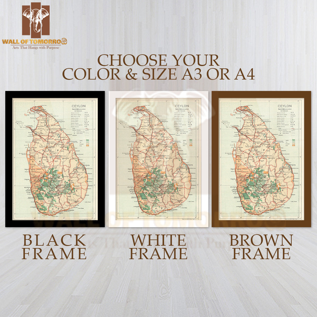 Ceylon, Sri Lanka, Rubber Tea Coconut Cocoa & railways 1919 old antique map High Quality Glass Frame Wall Décors in Sri Lanka