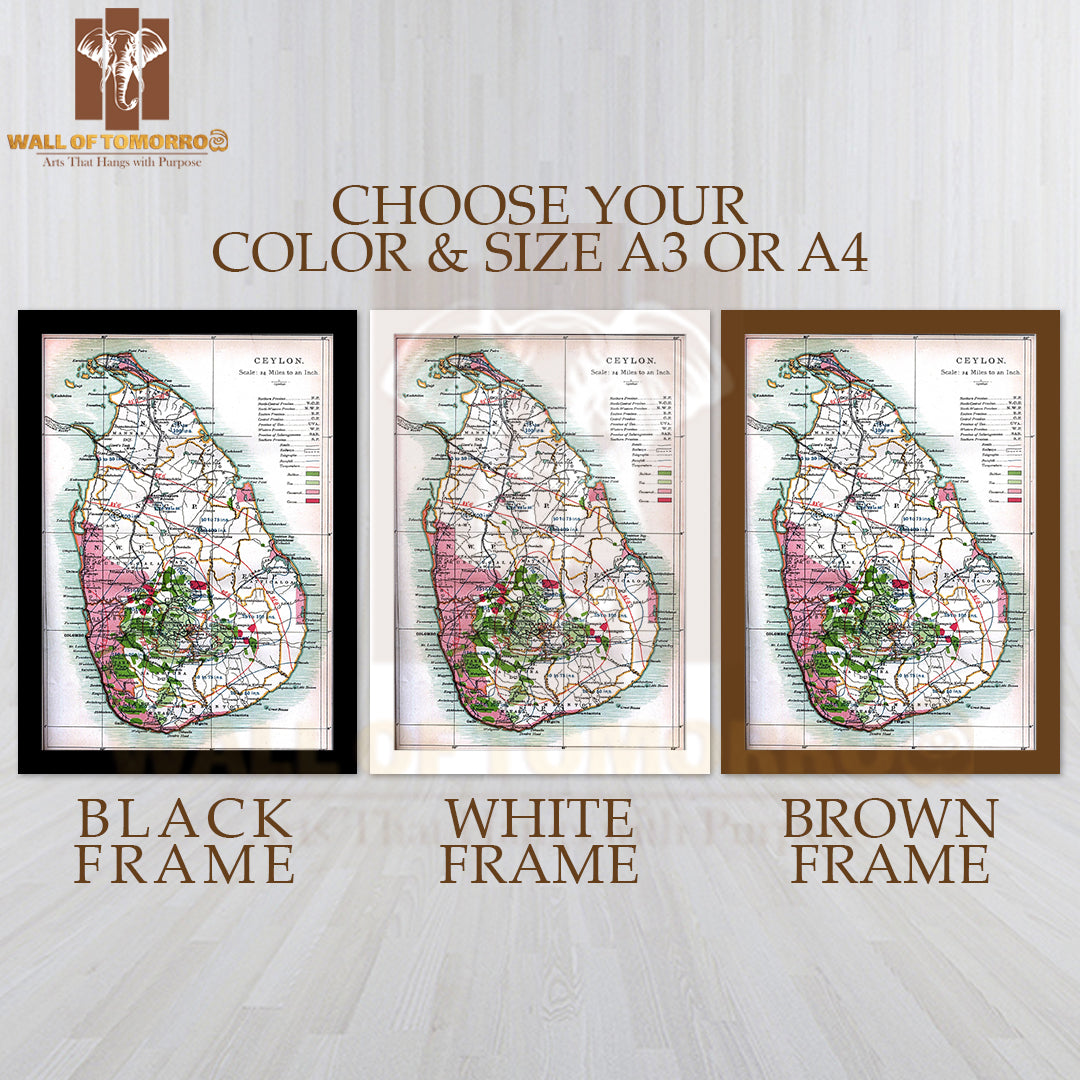 Detailed old map of Ceylon (Sri Lanka) - 1914 High Quality Glass Frame Wall Décors in Sri Lanka