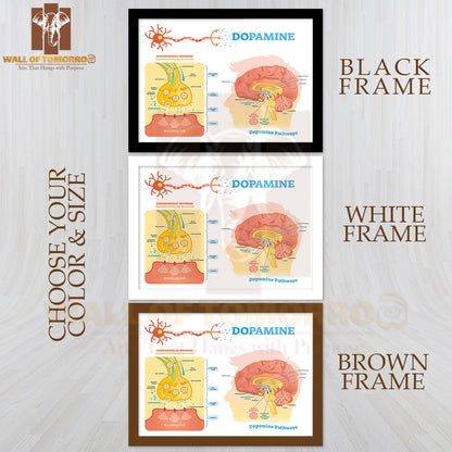 Scheme With Closeup Presynaptic Axon, Terminal, Synaptic Cleft, Dendrite and Receiving Cells Educational High Quality Glass Frame Wall Décor