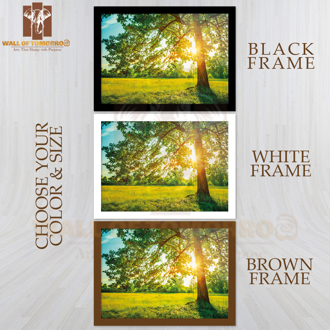 Summer Sunny Forest Trees and Green Grass High Quality Unframed Poster Print & Waterproof Poster Print Wall Décor