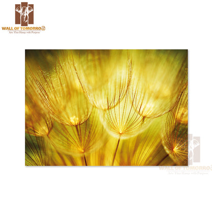 Soft Dandelions Flower, Extreme Closeup, Abstract Spring Nature High Quality Unframed Poster Print & Waterproof Poster Print Wall Décor
