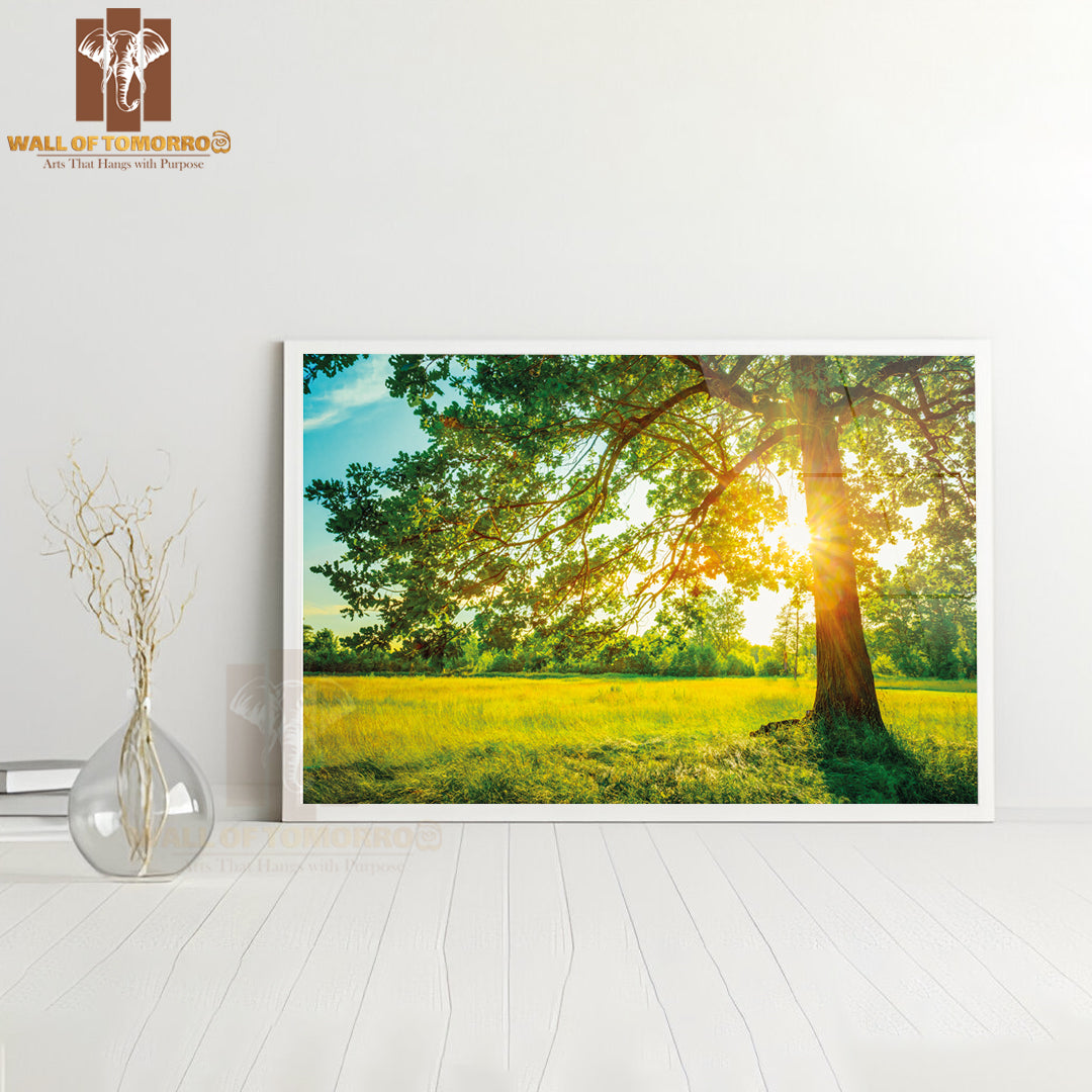 Summer Sunny Forest Trees and Green Grass High Quality Unframed Poster Print & Waterproof Poster Print Wall Décor
