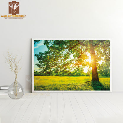 Summer Sunny Forest Trees and Green Grass High Quality Unframed Poster Print & Waterproof Poster Print Wall Décor