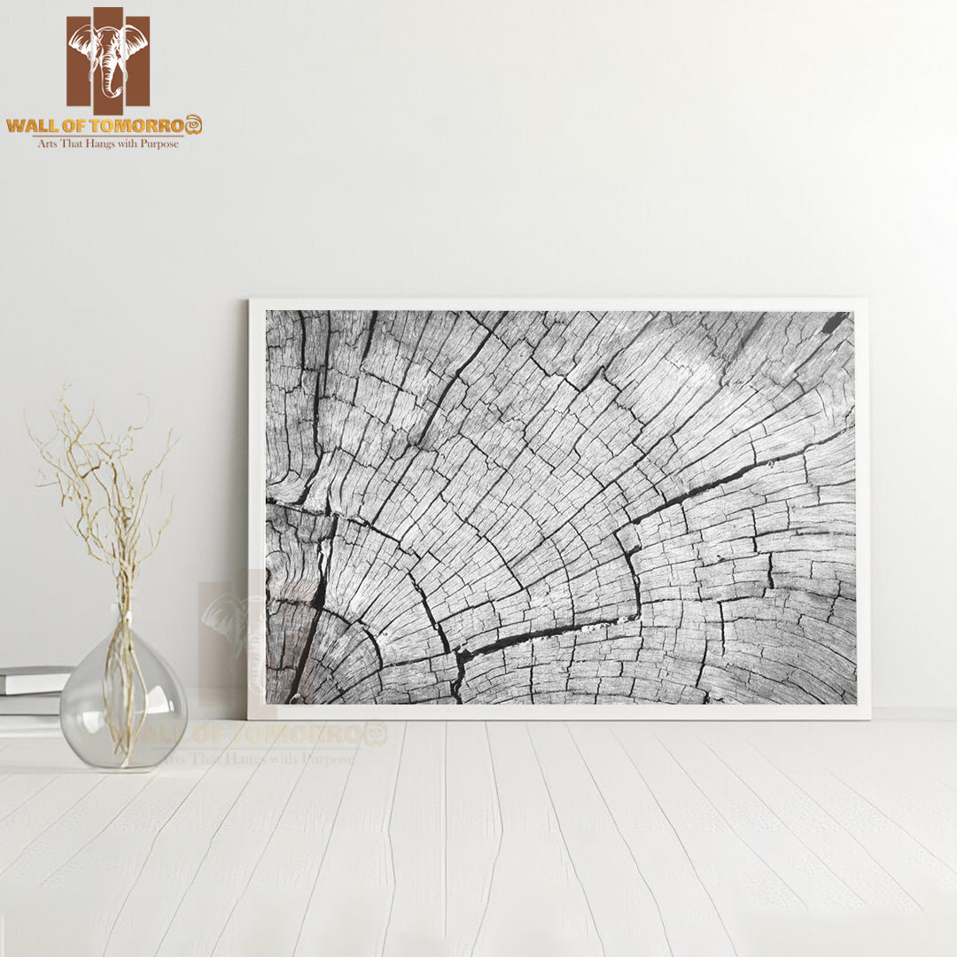 Old Gray Cracked Wood Texture Background High Quality Unframed Poster Print & Waterproof Poster Print Wall Décor