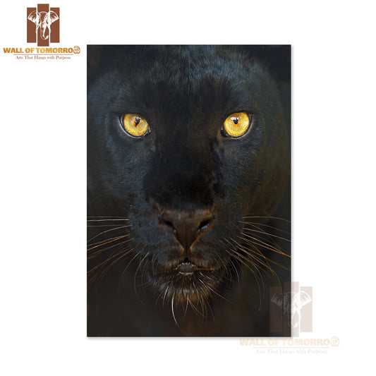 Black Leopard Face Portrait High Quality Unframed Poster Print & Waterproof Poster Print Wall Décor