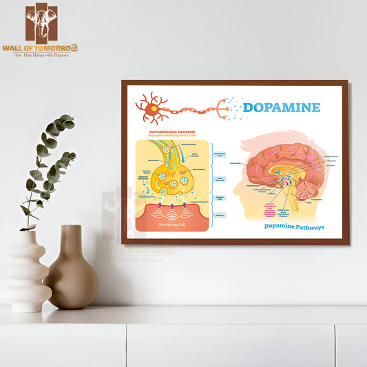 Scheme With Closeup Presynaptic Axon, Terminal, Synaptic Cleft, Dendrite and Receiving Cells Educational High Quality Glass Frame Wall Décor