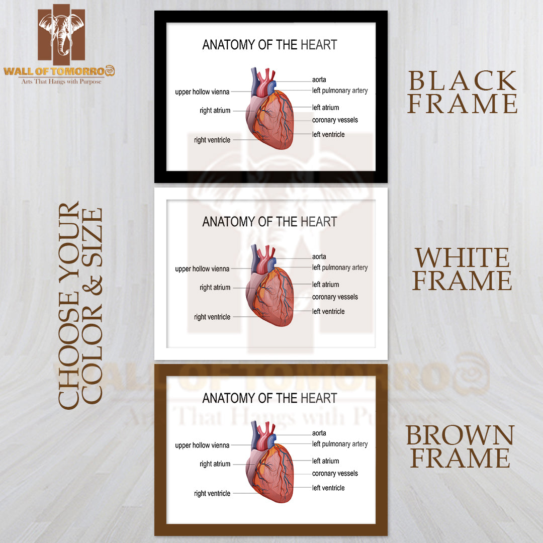 The Human Heart, Cardiology Educational High Quality Glass Frame Wall Décor