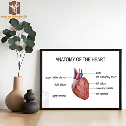 The Human Heart, Cardiology Educational High Quality Glass Frame Wall Décor