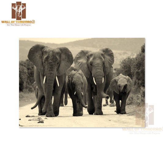 Group Of Elephants Walking in The Wild High Quality Unframed Poster Print & Waterproof Poster Print Wall Décor
