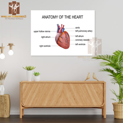 The Human Heart. Cardiology Educational High Quality Unframed Poster Print & Waterproof Poster Print Wall Décor