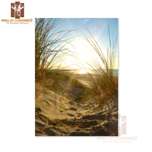 Beach With Grass and Sand Dunes High Quality Unframed Poster Print & Waterproof Poster Print Wall Décor