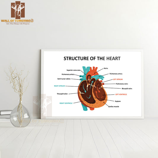 Anatomy Of Human Heart Educational High Quality Glass Frame Wall Décor