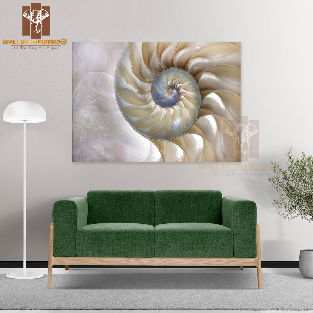 An Amazing Fibonacci Pattern in a Nautilus Shell High Quality Unframed Poster Print & Waterproof Poster Print Wall Décor