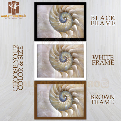An Amazing Fibonacci Pattern in a Nautilus Shell High Quality Unframed Poster Print & Waterproof Poster Print Wall Décor
