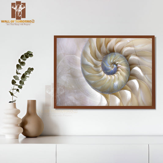 An Amazing Fibonacci Pattern in a Nautilus Shell High Quality Unframed Poster Print & Waterproof Poster Print Wall Décor