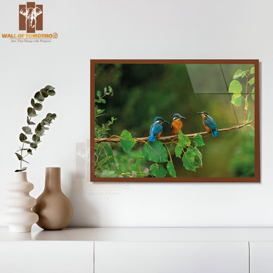 Closeup Shot of Common Kingfisher Birds High Quality Glass Frame Wall Décor