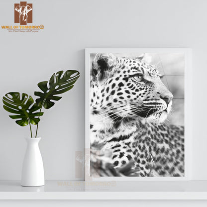 Leopard Closeup Photography B&W High Quality Glass Frame Wall Décor