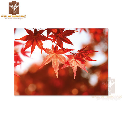 Red Maple Leaves Nature Picture High Quality Unframed Poster Print & Waterproof Poster Print Wall Décor