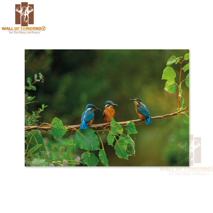 Closeup Shot of Common Kingfisher Birds High Quality Unframed Poster Print & Waterproof Poster Print Wall Décor