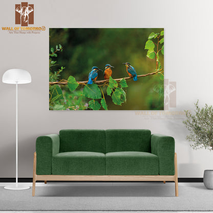 Closeup Shot of Common Kingfisher Birds High Quality Unframed Poster Print & Waterproof Poster Print Wall Décor