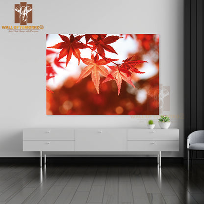 Red Maple Leaves Nature Picture High Quality Unframed Poster Print & Waterproof Poster Print Wall Décor