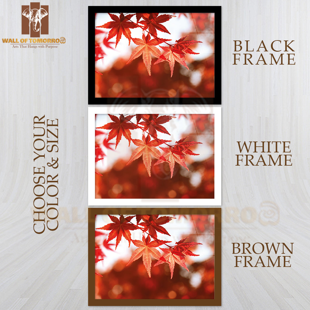 Red Maple Leaves Nature Picture High Quality Unframed Poster Print & Waterproof Poster Print Wall Décor